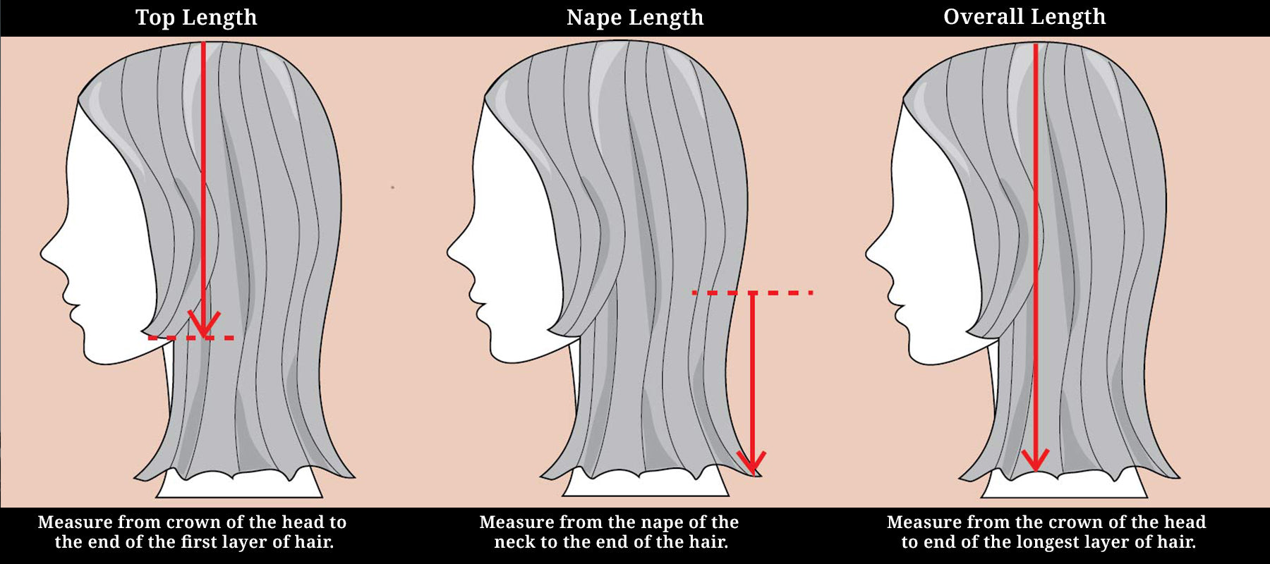 HOW TO MEASURE WIG LENGTHS House of European Hair